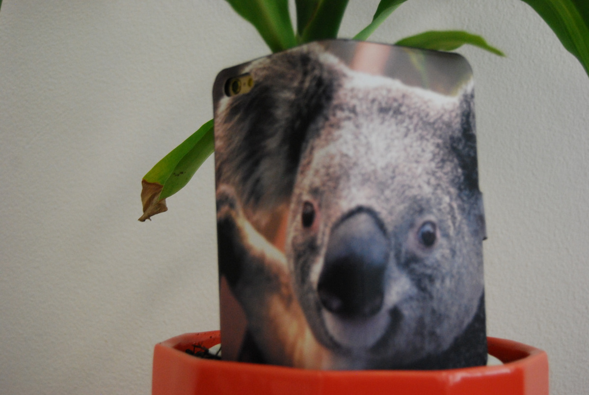 Koala Leather Wallet iPhone 4/4S, 5/5S, 6/6S Case