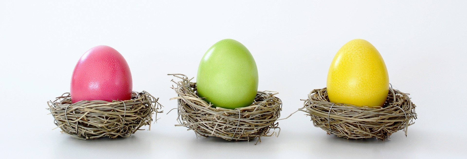 Easter eggs in nests