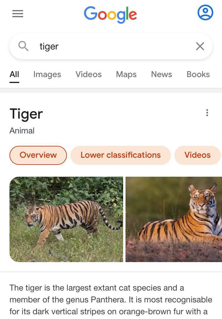 Google Search Redesign 2021